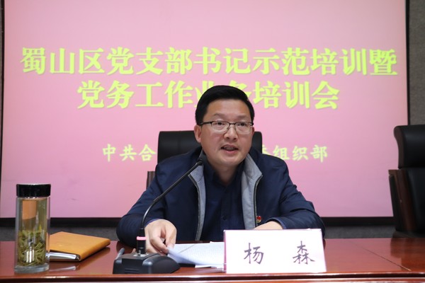 区委副书记杨森作动员讲话.JPG