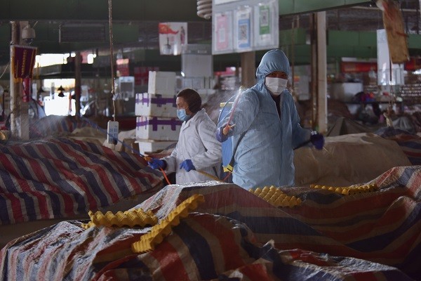 图3：每天菜市场营业前，统一对家禽区、蔬菜区、肉蛋区等区域进行全面消毒.jpg