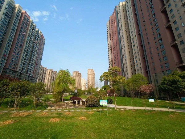 图1：博澳丽苑小区幸福林、共建林、抗疫林全景。.jpg