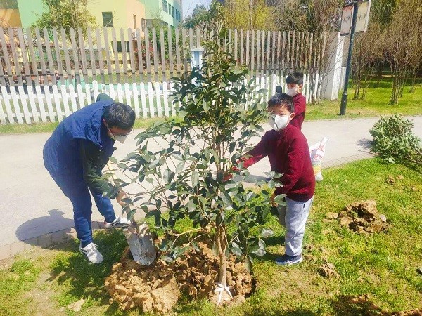 图3：小区居民在幸福林里种下绿植。.png