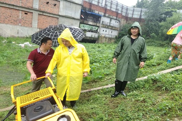 (图三）.jpg