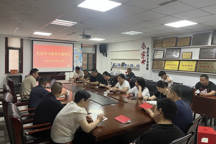 5月24日，南七街道丁岗社区在职党支部召开党纪学习教育专题研讨。.jpg