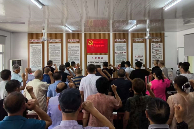 街北村党总支带领党员重温入党誓词_副本.jpg