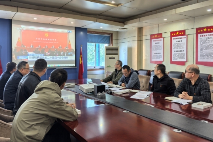 合肥市金喆保安服务有限责任公司：党建引领聚合力 提升业务铸品牌